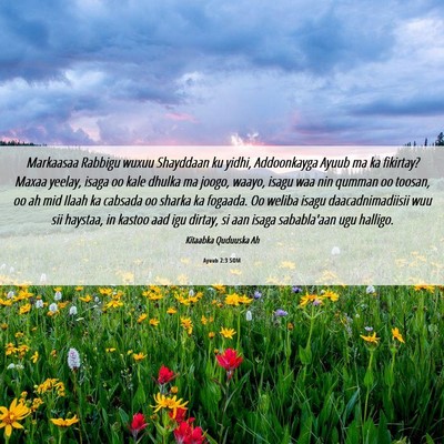 Picture 06 - Ayuub 2:3 SOM - Markaasaa Rabbigu wuxuu Shayddaan ku yidhi, - Bible Verse Picture