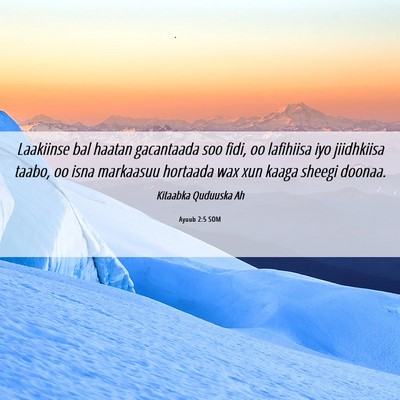 Picture 06 - Ayuub 2:5 SOM - Laakiinse bal haatan gacantaada soo fidi, oo - Bible Verse Picture