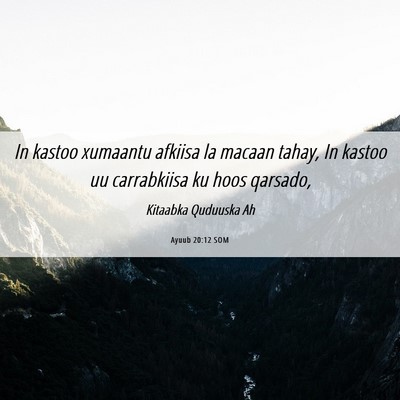 Picture 06 - Ayuub 20:12 SOM - In kastoo xumaantu afkiisa la macaan tahay, In - Bible Verse Picture