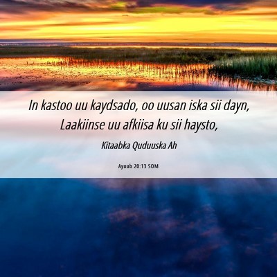 Picture 06 - Ayuub 20:13 SOM - In kastoo uu kaydsado, oo uusan iska sii dayn, - Bible Verse Picture