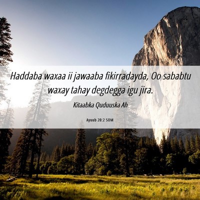 Picture 06 - Ayuub 20:2 SOM - Haddaba waxaa ii jawaaba fikirradayda, Oo sababtu - Bible Verse Picture