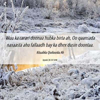 Picture 06 - Ayuub 20:24 SOM - Wuu ka carari doonaa hubka birta ah, Oo qaansada - Bible Verse Picture