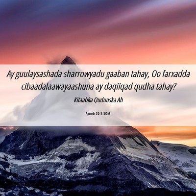 Picture 06 - Ayuub 20:5 SOM - Ay guulaysashada sharrowyadu gaaban tahay, Oo - Bible Verse Picture