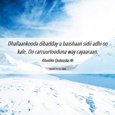 Picture 06 - Ayuub 21:11 SOM - Dhallaankooda dibadday u baxshaan sidii adhi oo - Bible Verse Picture