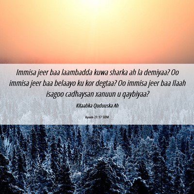 Picture 06 - Ayuub 21:17 SOM - Immisa jeer baa laambadda kuwa sharka ah la - Bible Verse Picture