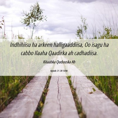 Picture 06 - Ayuub 21:20 SOM - Indhihiisu ha arkeen halligaaddiisa, Oo isagu ha - Bible Verse Picture