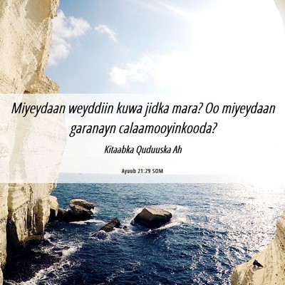 Picture 06 - Ayuub 21:29 SOM - Miyeydaan weyddiin kuwa jidka mara? Oo miyeydaan - Bible Verse Picture