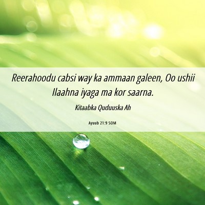 Picture 06 - Ayuub 21:9 SOM - Reerahoodu cabsi way ka ammaan galeen, Oo ushii - Bible Verse Picture