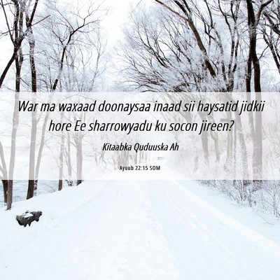 Picture 06 - Ayuub 22:15 SOM - War ma waxaad doonaysaa inaad sii haysatid jidkii - Bible Verse Picture