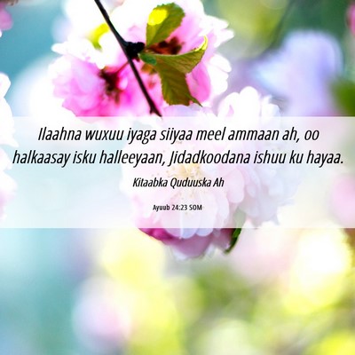 Picture 06 - Ayuub 24:23 SOM - Ilaahna wuxuu iyaga siiyaa meel ammaan ah, oo - Bible Verse Picture