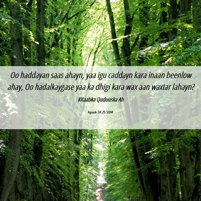 Picture 06 - Ayuub 24:25 SOM - Oo haddayan saas ahayn, yaa igu caddayn kara - Bible Verse Picture