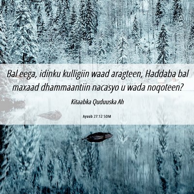 Picture 06 - Ayuub 27:12 SOM - Bal eega, idinku kulligiin waad aragteen, Haddaba - Bible Verse Picture