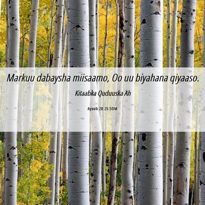 Picture 06 - Ayuub 28:25 SOM - Markuu dabaysha miisaamo, Oo uu biyahana - Bible Verse Picture