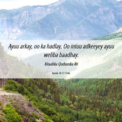 Picture 06 - Ayuub 28:27 SOM - Ayuu arkay, oo ka hadlay, Oo intuu adkeeyey ayuu - Bible Verse Picture