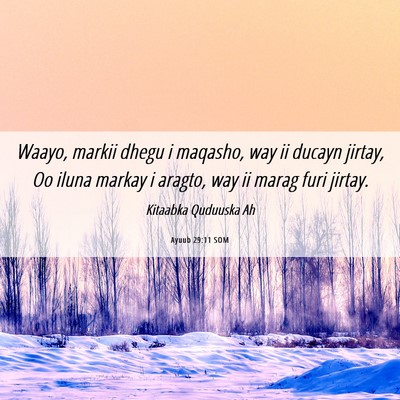 Picture 06 - Ayuub 29:11 SOM - Waayo, markii dhegu i maqasho, way ii ducayn - Bible Verse Picture