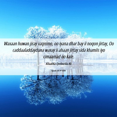 Picture 06 - Ayuub 29:14 SOM - Waxaan huwan jiray xaqnimo, oo iyana dhar bay ii - Bible Verse Picture