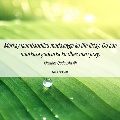 Picture 06 - Ayuub 29:3 SOM - Markay laambaddiisu madaxayga ku ifin jirtay, Oo - Bible Verse Picture