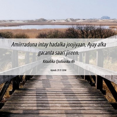 Picture 06 - Ayuub 29:9 SOM - Amiirraduna intay hadalka joojiyaan, Ayay afka - Bible Verse Picture
