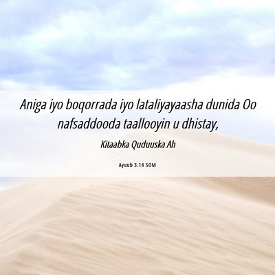Picture 06 - Ayuub 3:14 SOM - Aniga iyo boqorrada iyo lataliyayaasha dunida Oo - Bible Verse Picture