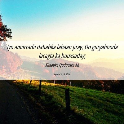 Picture 06 - Ayuub 3:15 SOM - Iyo amiirradii dahabka lahaan jiray, Oo - Bible Verse Picture