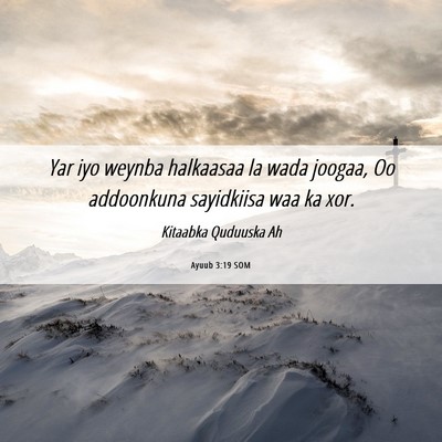 Picture 06 - Ayuub 3:19 SOM - Yar iyo weynba halkaasaa la wada joogaa, Oo - Bible Verse Picture