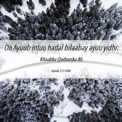 Picture 06 - Ayuub 3:2 SOM - Oo Ayuub intuu hadal bilaabay ayuu - Bible Verse Picture