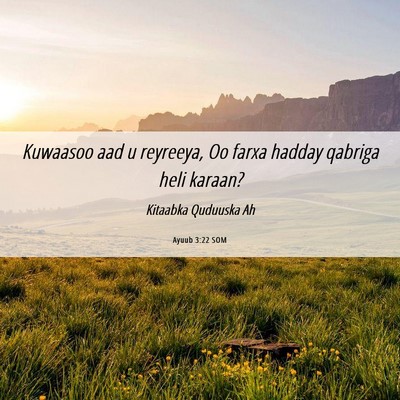 Picture 06 - Ayuub 3:22 SOM - Kuwaasoo aad u reyreeya, Oo farxa hadday qabriga - Bible Verse Picture