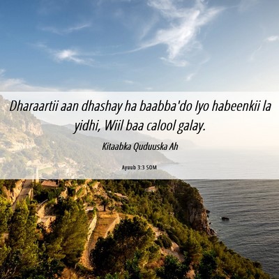 Picture 06 - Ayuub 3:3 SOM - Dharaartii aan dhashay ha baabba'do Iyo habeenkii - Bible Verse Picture