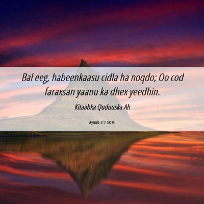 Picture 06 - Ayuub 3:7 SOM - Bal eeg, habeenkaasu cidla ha noqdo; Oo cod - Bible Verse Picture