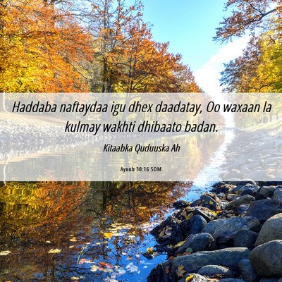Picture 06 - Ayuub 30:16 SOM - Haddaba naftaydaa igu dhex daadatay, Oo waxaan la - Bible Verse Picture
