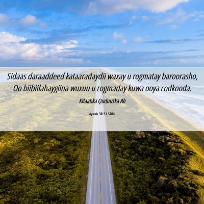 Picture 06 - Ayuub 30:31 SOM - Sidaas daraaddeed kataaradaydii waxay u rogmatay - Bible Verse Picture