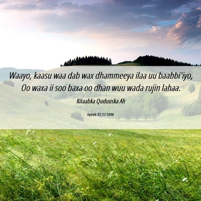 Picture 06 - Ayuub 31:12 SOM - Waayo, kaasu waa dab wax dhammeeya ilaa uu - Bible Verse Picture