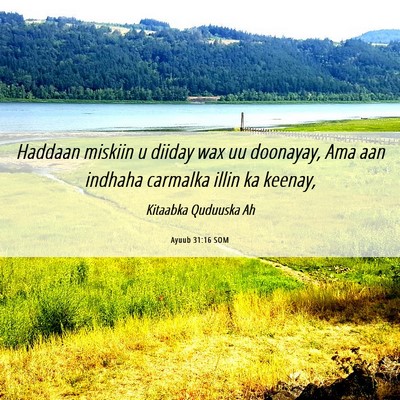 Picture 06 - Ayuub 31:16 SOM - Haddaan miskiin u diiday wax uu doonayay, Ama aan - Bible Verse Picture