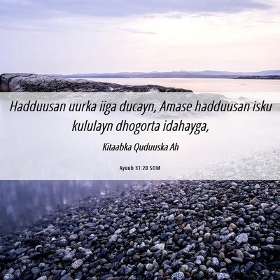 Picture 06 - Ayuub 31:20 SOM - Hadduusan uurka iiga ducayn, Amase hadduusan isku - Bible Verse Picture