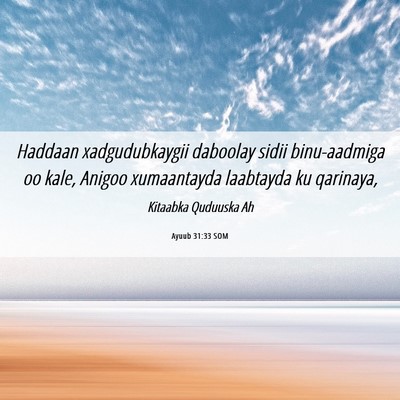 Picture 06 - Ayuub 31:33 SOM - Haddaan xadgudubkaygii daboolay sidii - Bible Verse Picture