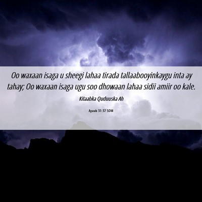 Picture 06 - Ayuub 31:37 SOM - Oo waxaan isaga u sheegi lahaa tirada - Bible Verse Picture