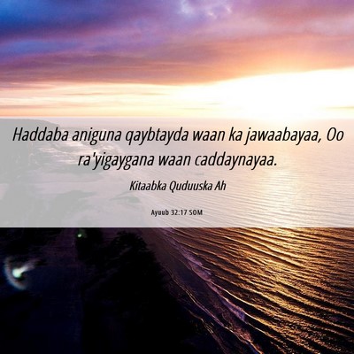 Picture 06 - Ayuub 32:17 SOM - Haddaba aniguna qaybtayda waan ka jawaabayaa, Oo - Bible Verse Picture