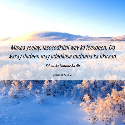 Picture 06 - Ayuub 34:27 SOM - Maxaa yeelay, lasocodkiisii way ka leexdeen, Oo - Bible Verse Picture
