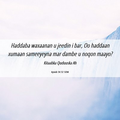 Picture 06 - Ayuub 34:32 SOM - Haddaba waxaanan u jeedin i bar, Oo haddaan - Bible Verse Picture