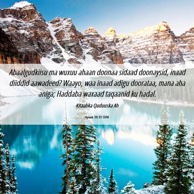 Picture 06 - Ayuub 34:33 SOM - Abaalgudkiisu ma wuxuu ahaan doonaa sidaad - Bible Verse Picture