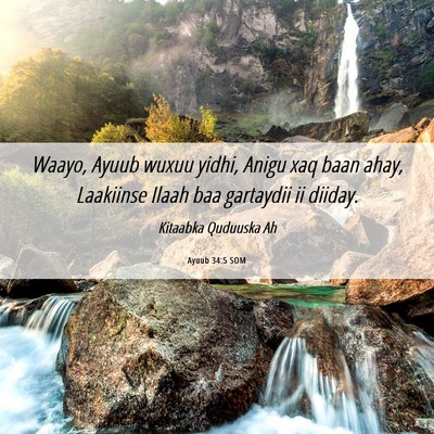 Picture 06 - Ayuub 34:5 SOM - Waayo, Ayuub wuxuu yidhi, Anigu xaq baan ahay, - Bible Verse Picture