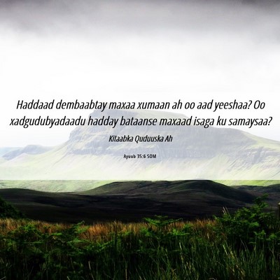 Picture 06 - Ayuub 35:6 SOM - Haddaad dembaabtay maxaa xumaan ah oo aad - Bible Verse Picture