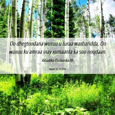 Picture 06 - Ayuub 36:10 SOM - Oo dhegtoodana wuxuu u furaa waxbaridda, Oo wuxuu - Bible Verse Picture
