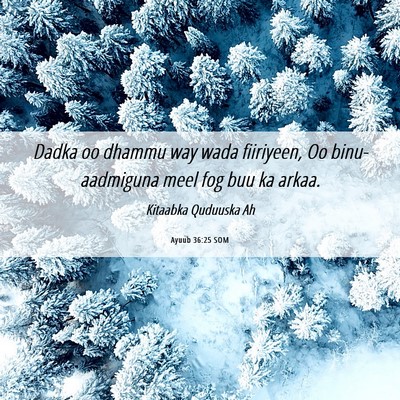 Picture 06 - Ayuub 36:25 SOM - Dadka oo dhammu way wada fiiriyeen, Oo - Bible Verse Picture