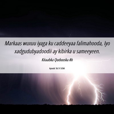 Picture 06 - Ayuub 36:9 SOM - Markaas wuxuu iyaga ku caddeeyaa falimahooda, Iyo - Bible Verse Picture