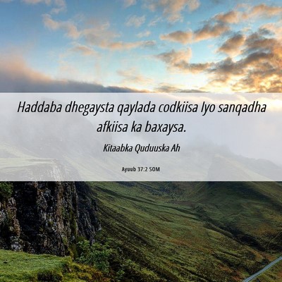 Picture 06 - Ayuub 37:2 SOM - Haddaba dhegaysta qaylada codkiisa Iyo sanqadha - Bible Verse Picture