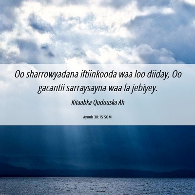 Picture 06 - Ayuub 38:15 SOM - Oo sharrowyadana iftiinkooda waa loo diiday, Oo - Bible Verse Picture