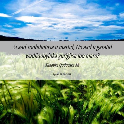 Picture 06 - Ayuub 38:20 SOM - Si aad soohdintiisa u martid, Oo aad u garatid - Bible Verse Picture