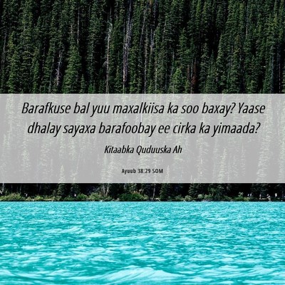Picture 06 - Ayuub 38:29 SOM - Barafkuse bal yuu maxalkiisa ka soo baxay? Yaase - Bible Verse Picture