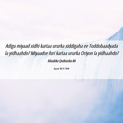 Picture 06 - Ayuub 38:31 SOM - Adigu miyaad xidhi kartaa ururka xiddigaha ee - Bible Verse Picture